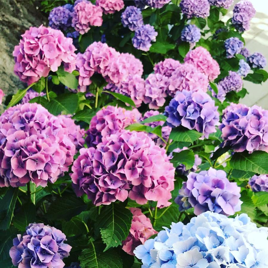 Appartamento Cortile 카노비오 외부 사진